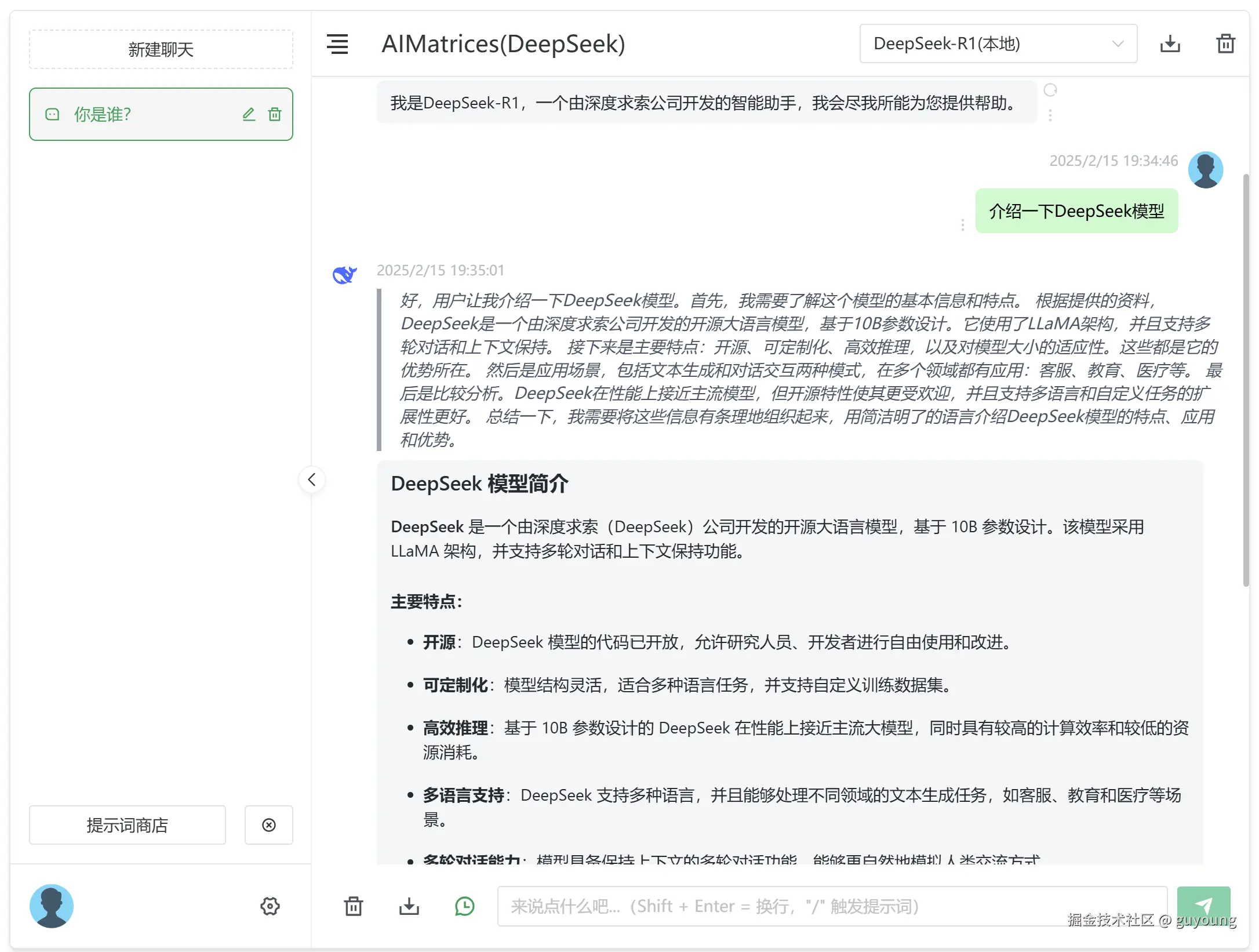 20250215-ai-matrices-deepseek3.png