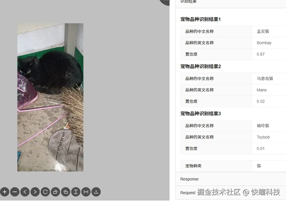 快瞳AI开放平台宠物品种识别测试.png