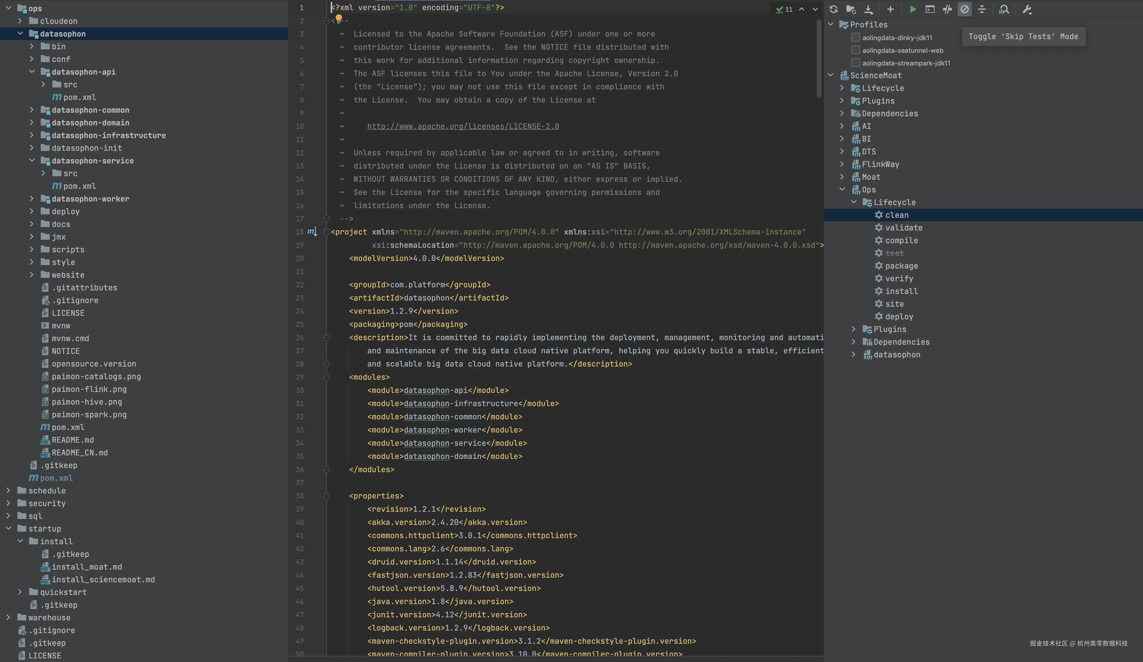 3_IDEA勾选Skip Tests.png