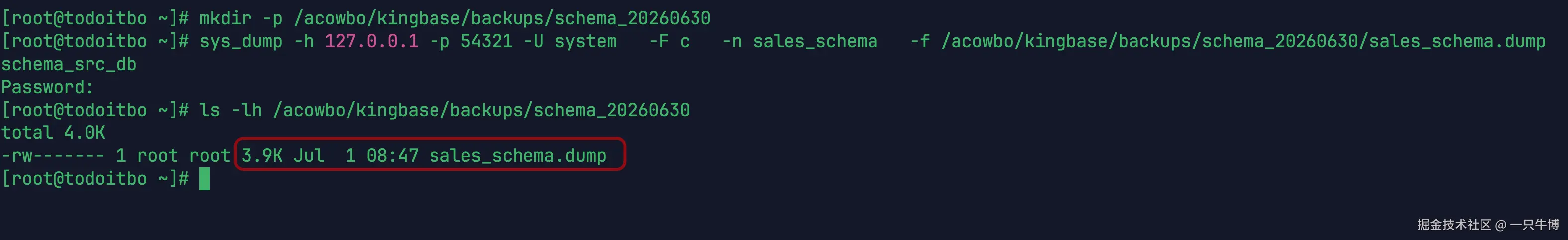 只备份 sales_schema