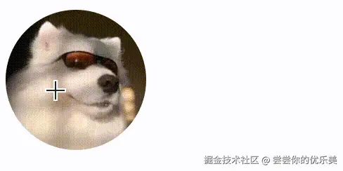 20241206144949.gif