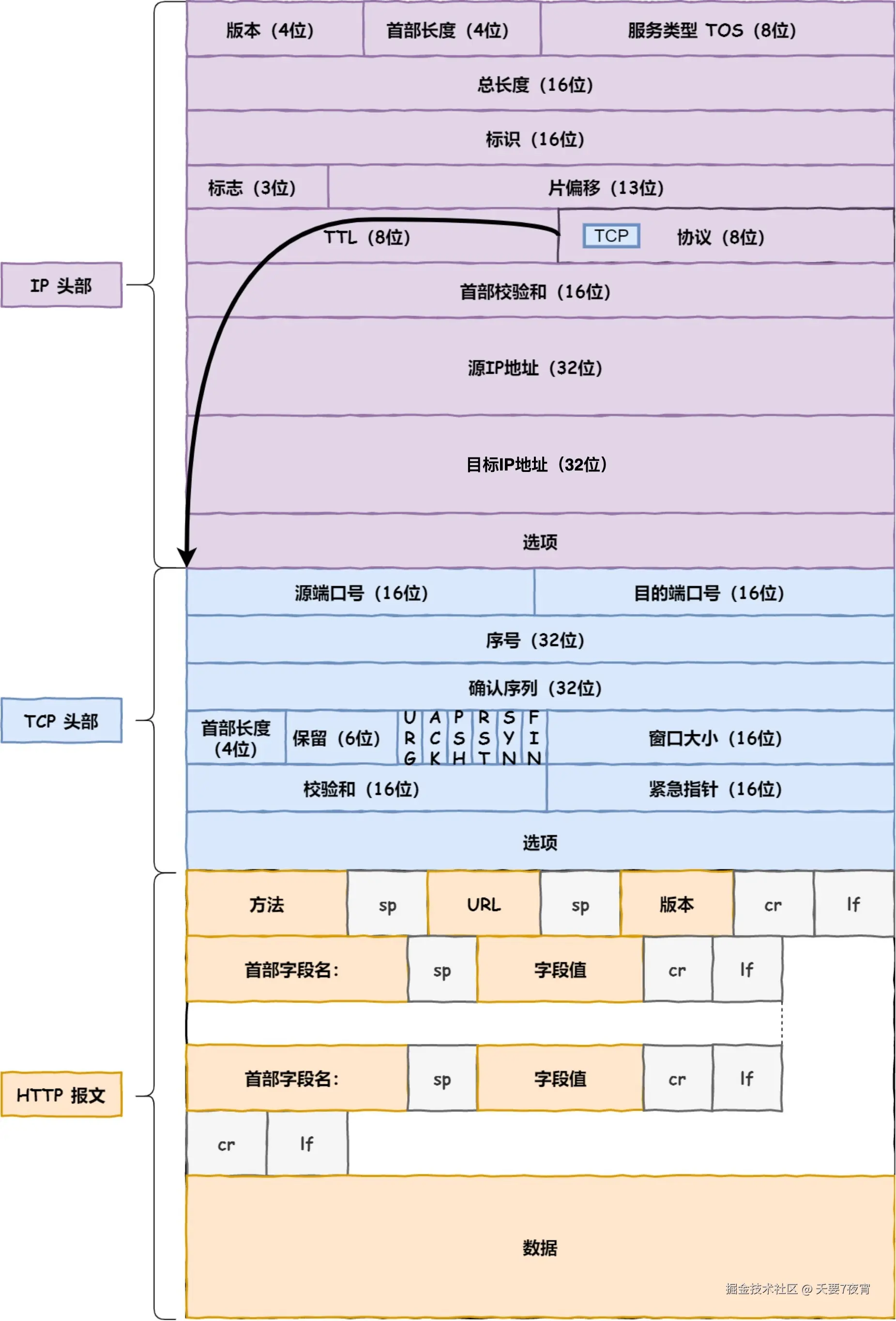 IP 层报文