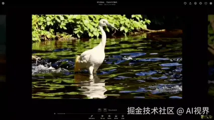 Sora生成的白鹤抓鱼视频
