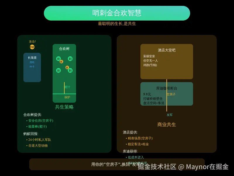 13_哨刺金合欢智慧