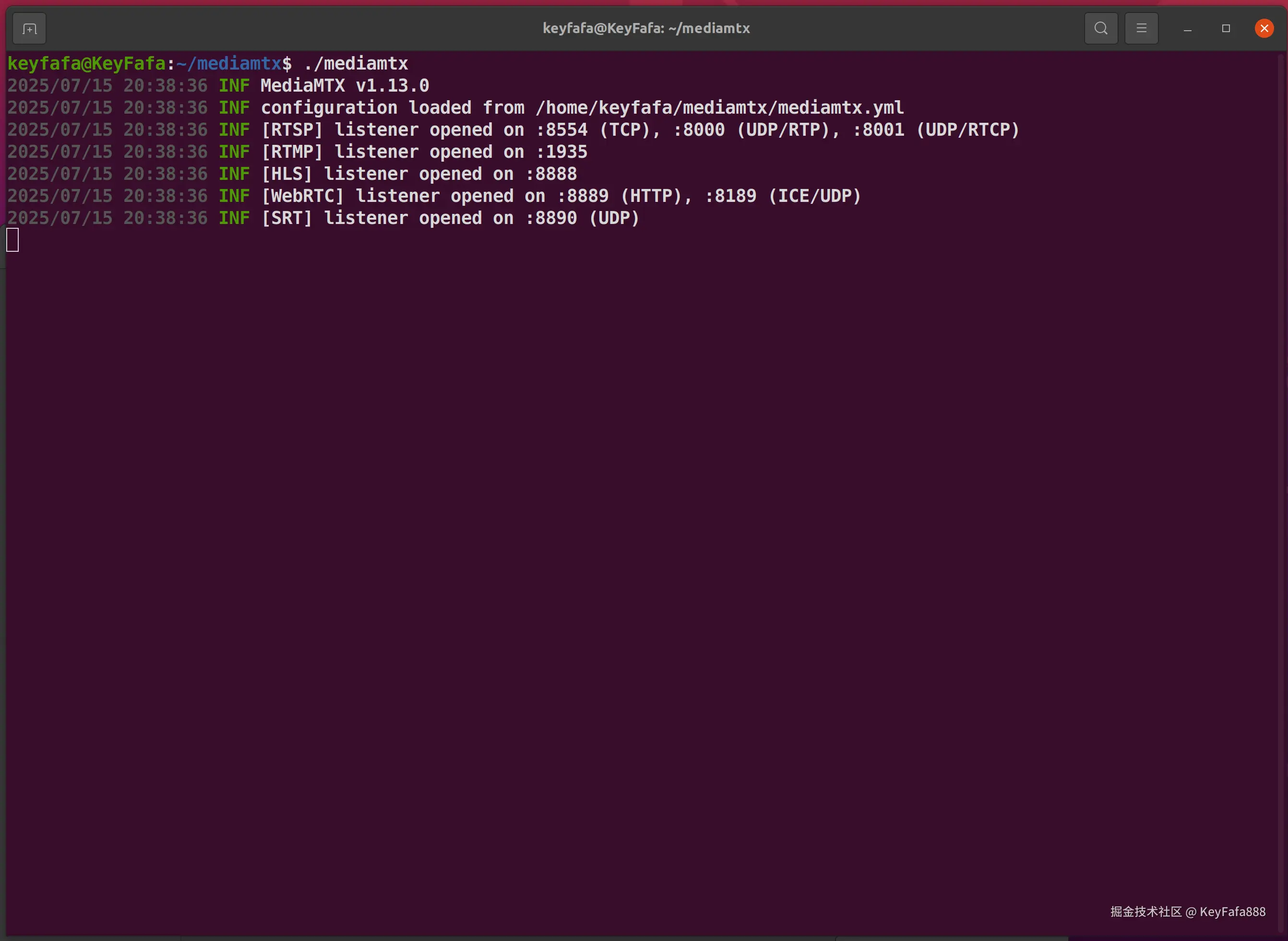 启动 mediamtx 服务