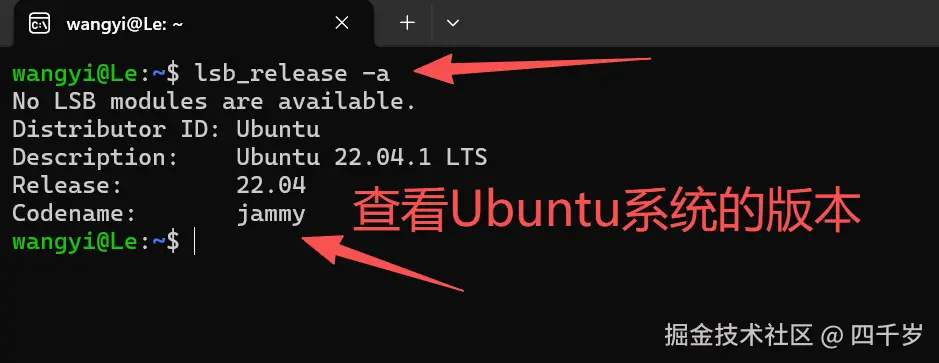 查看Ubuntu系统的版本