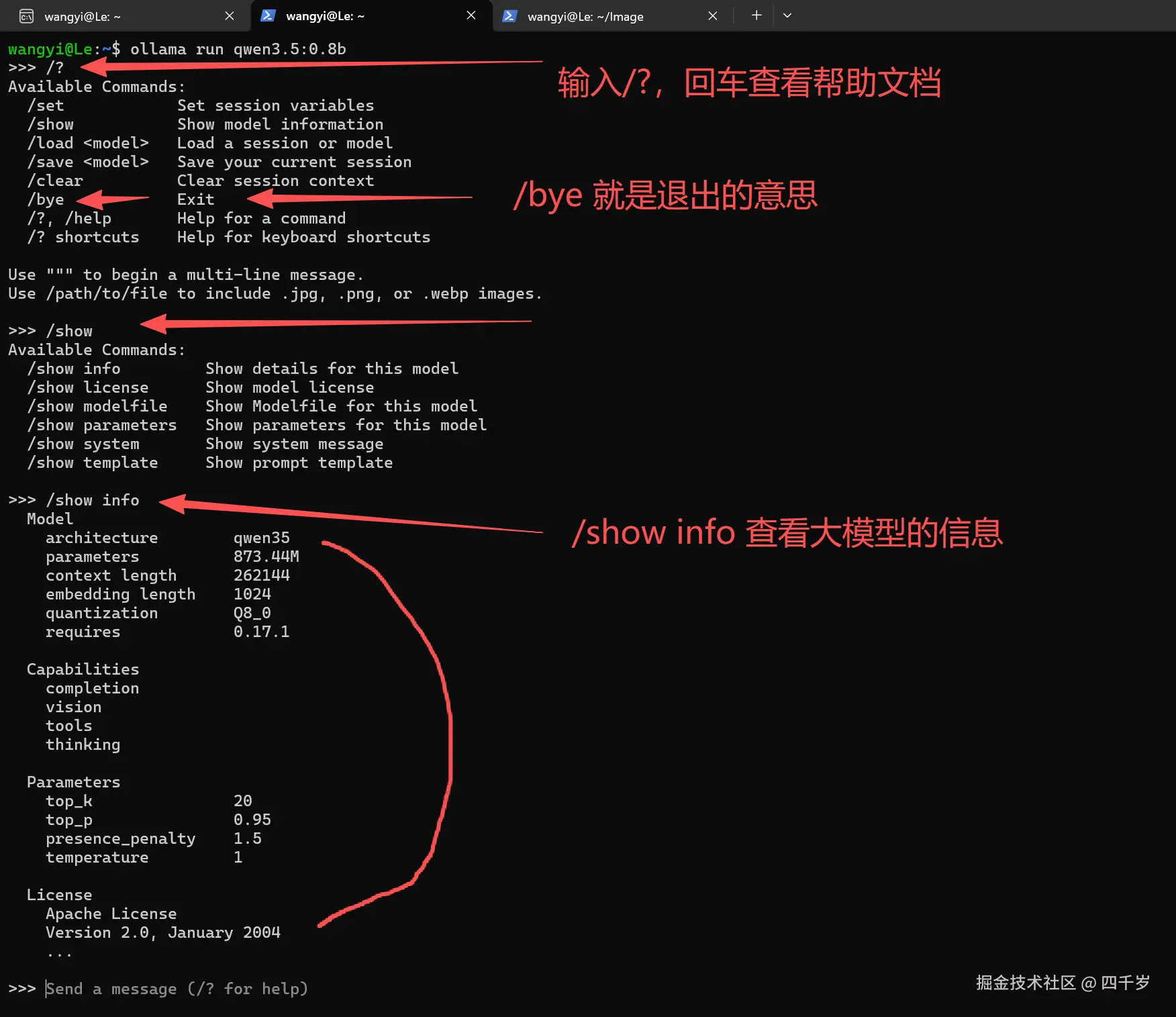 查看大模型的使用帮助文档