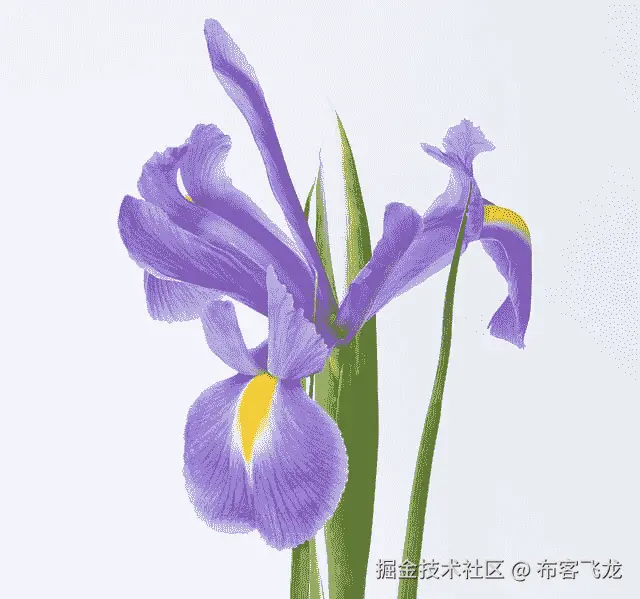 Iris Flowers Dataset