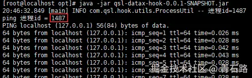 Linux_输出