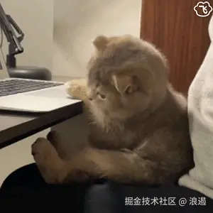 Suggestion.gif
