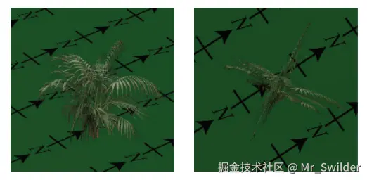 图6.28：从离开地面一点的地方来观察这个“交叉树”灌木，这种视错觉就消失了。