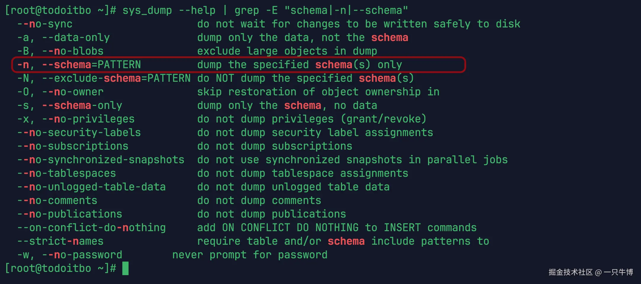 确认 sys_dump 支持 schema 过滤