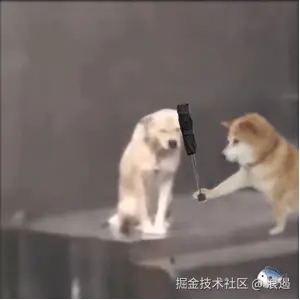 小狗淋雨表情包.gif