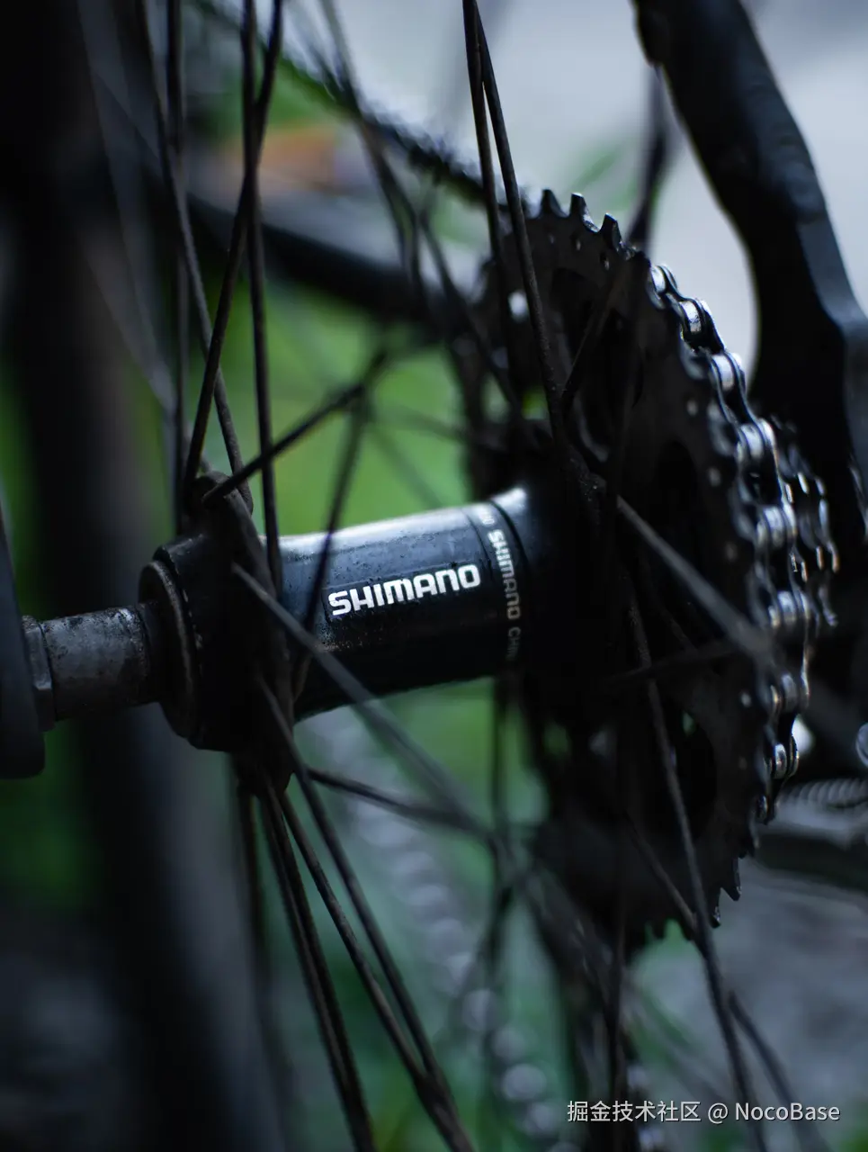 SHIMANO