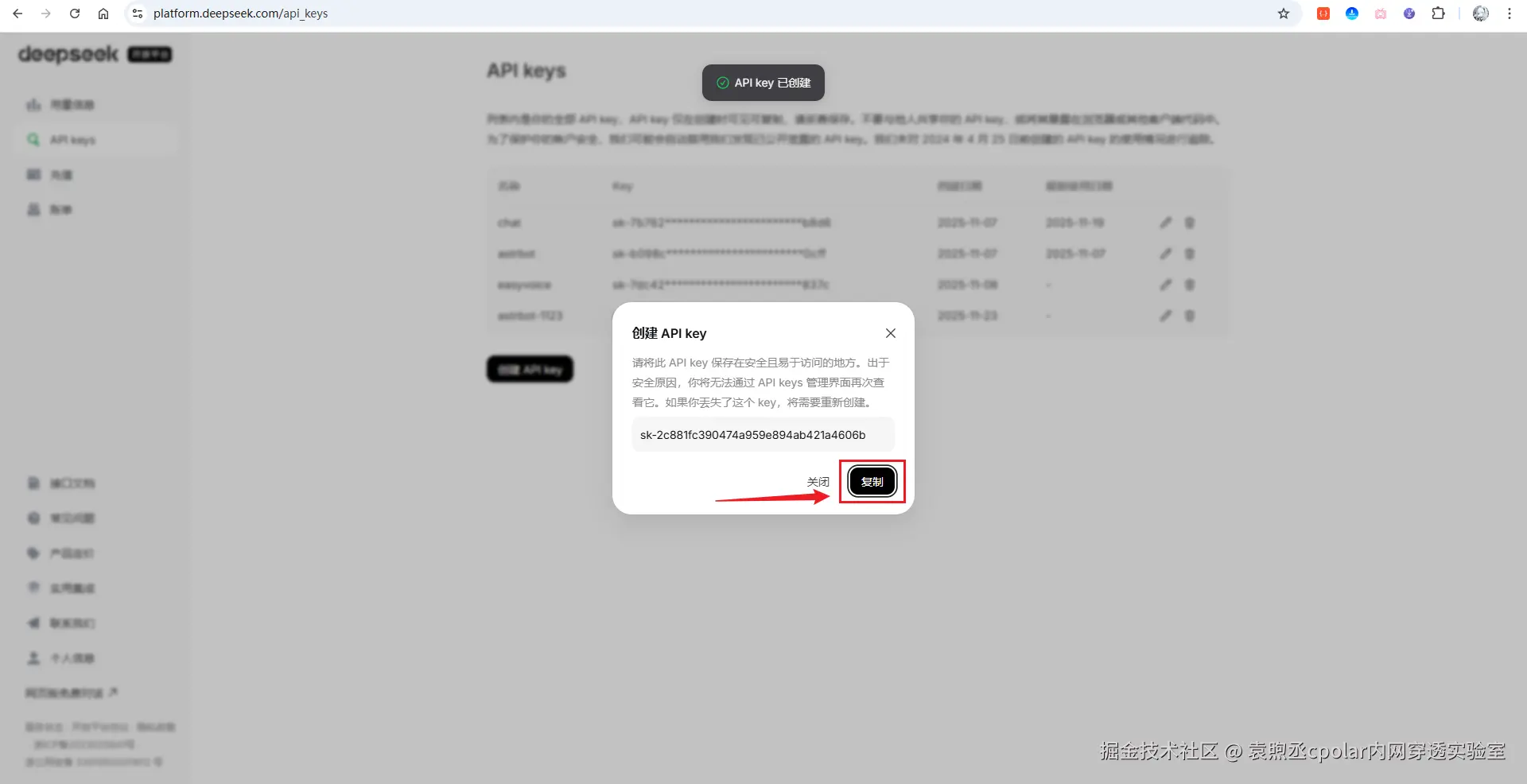 image-20251123212454913