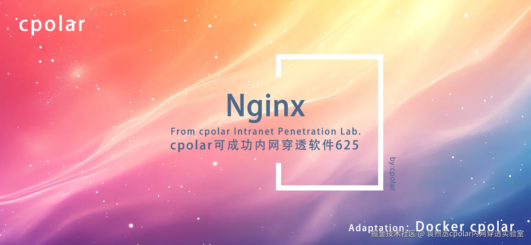 NO.625  Nginx-01.png