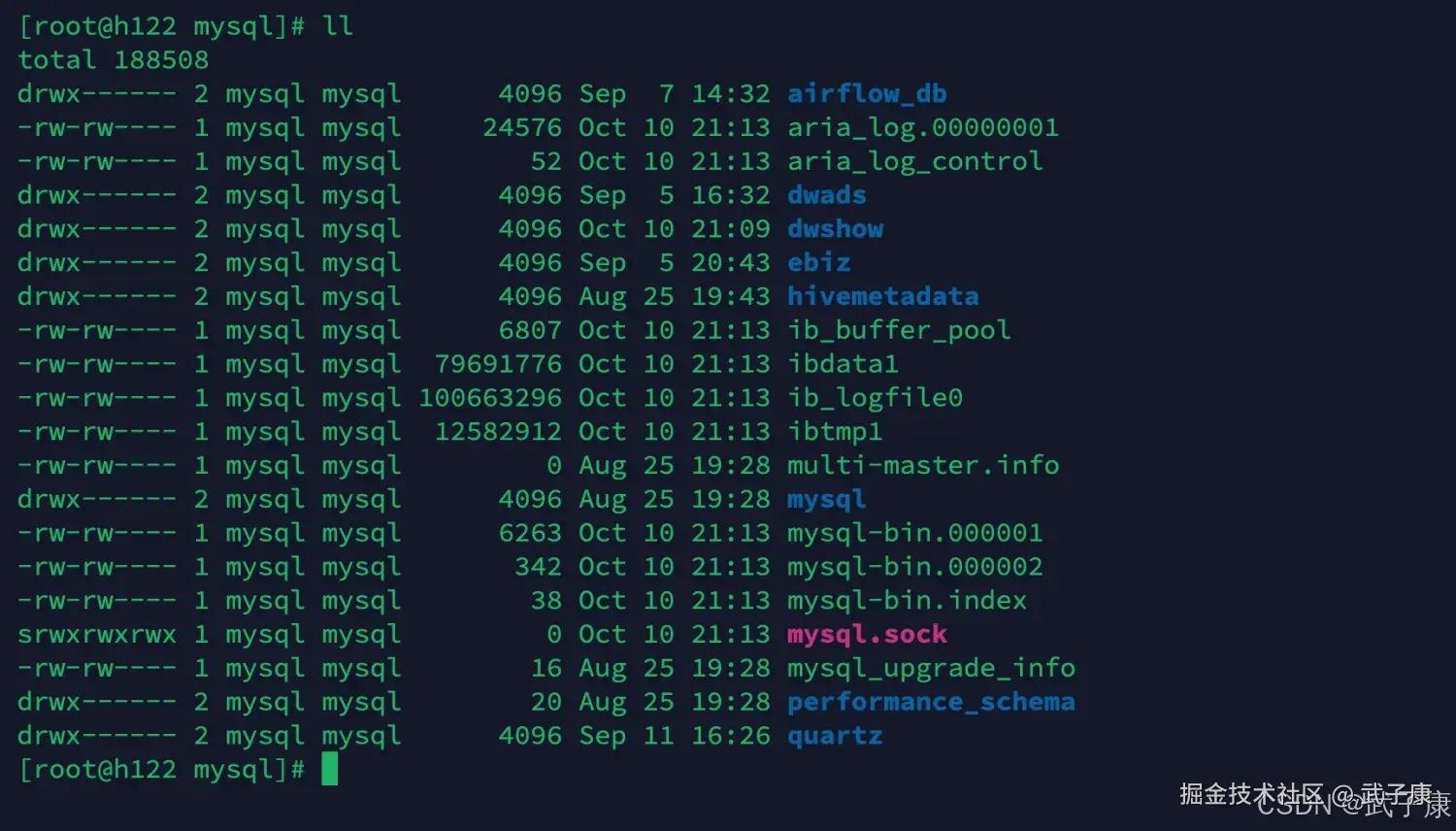 重启后数据目录