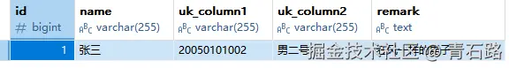 insert_on_update_再执行一次