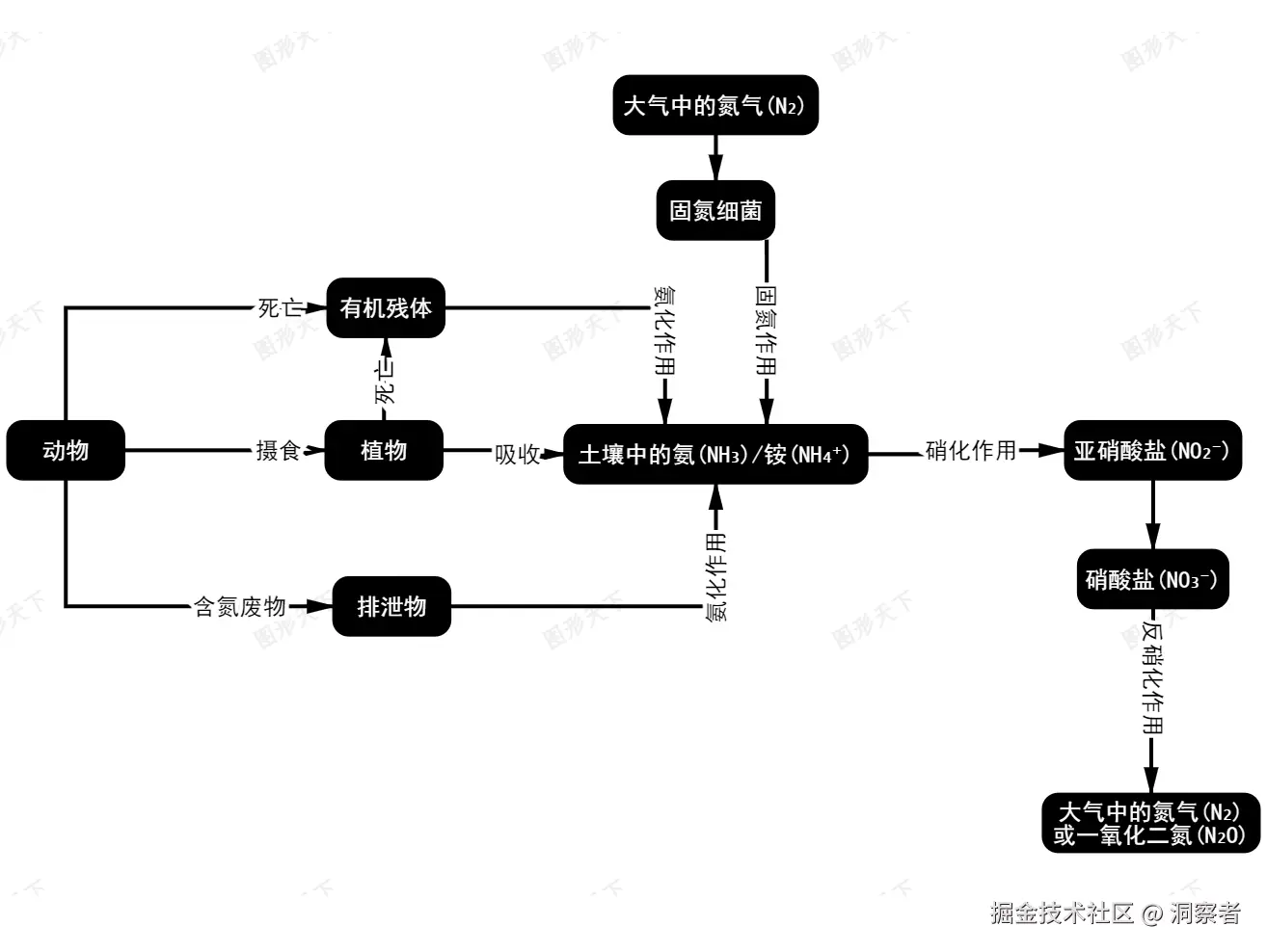 example-dxh.jpg