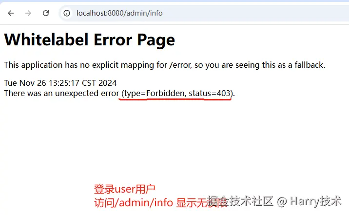 image-20241126132615673