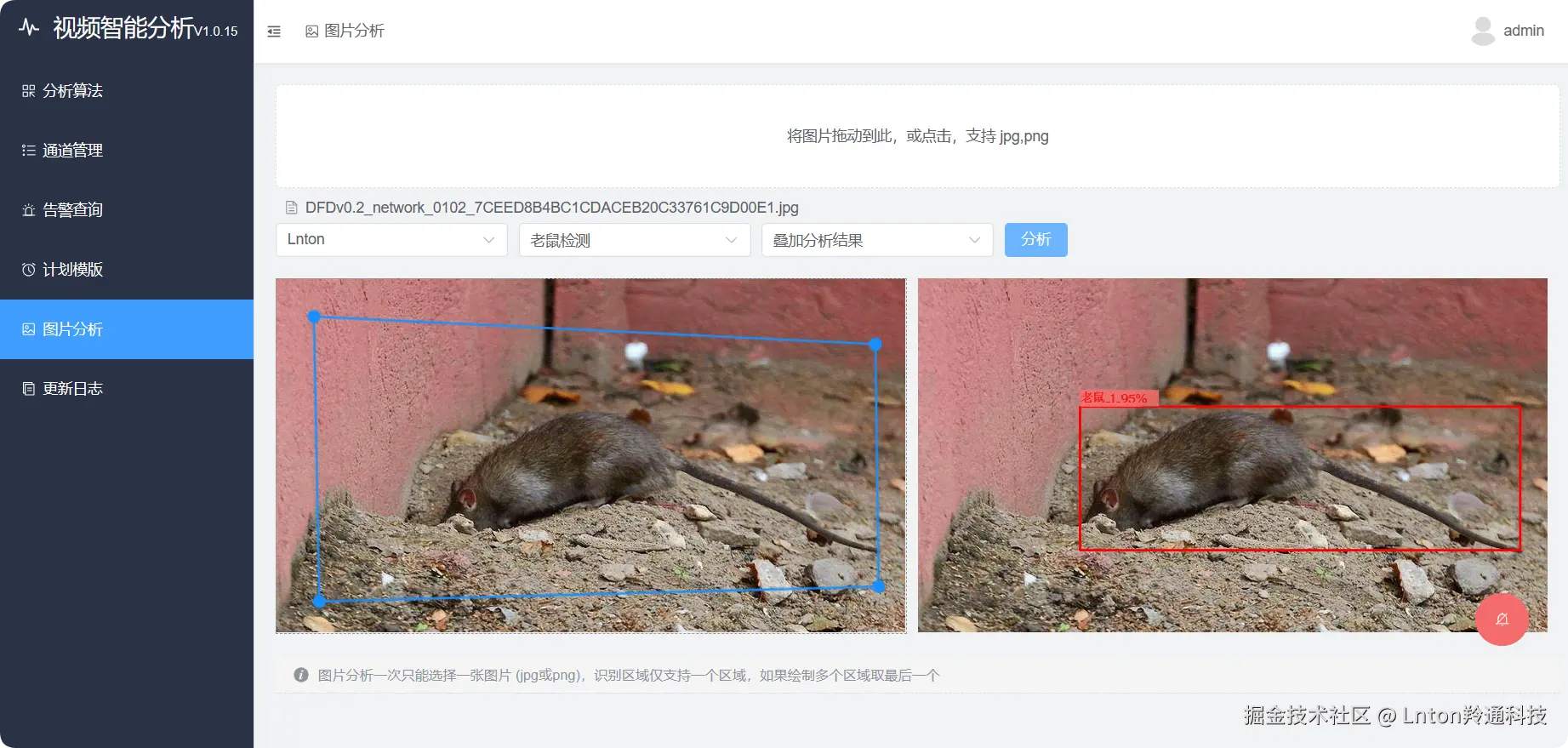 老鼠3.png