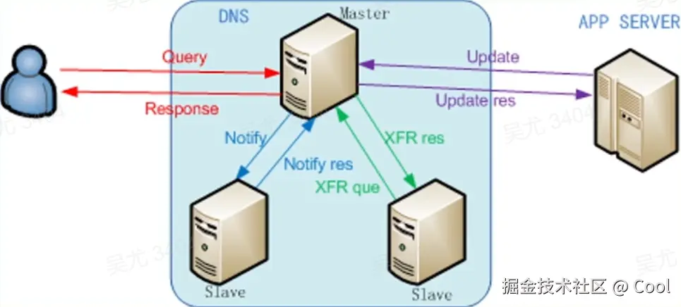 image-20220521195618728.png