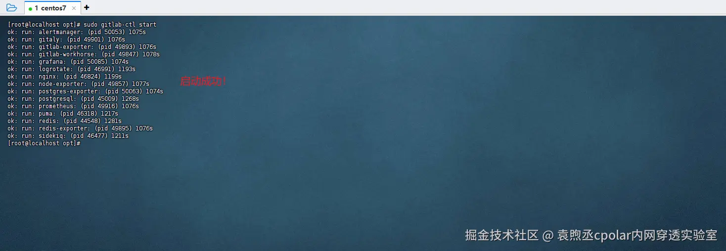 image-20250801180315843