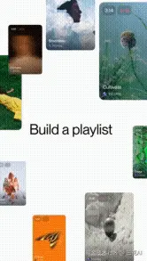 4.gif