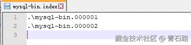 索引文件