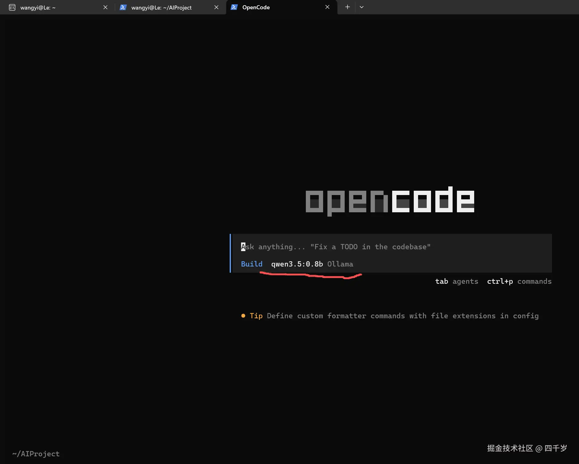 直接指定大模型的名字启动成功