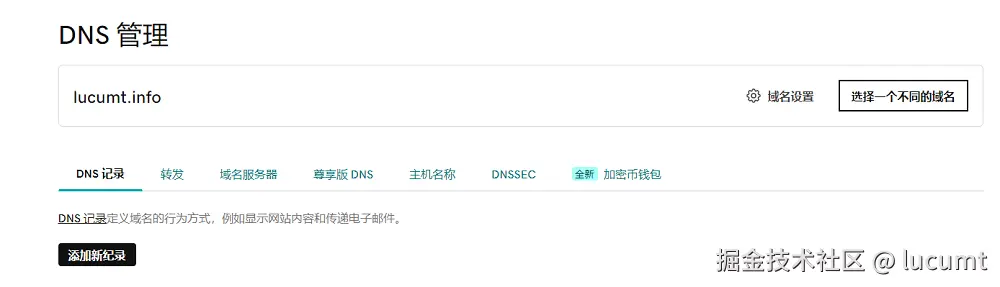 "GoDaddy添加新记录按钮"