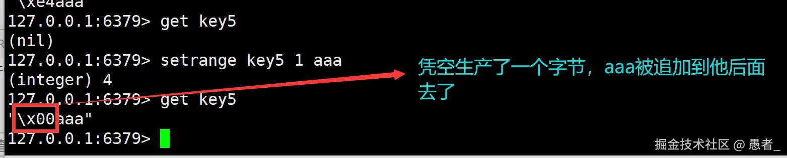 image-20240702145522642