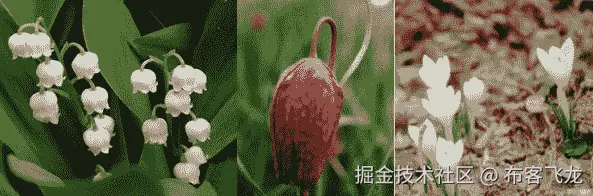 图 3.6 – 示例图片