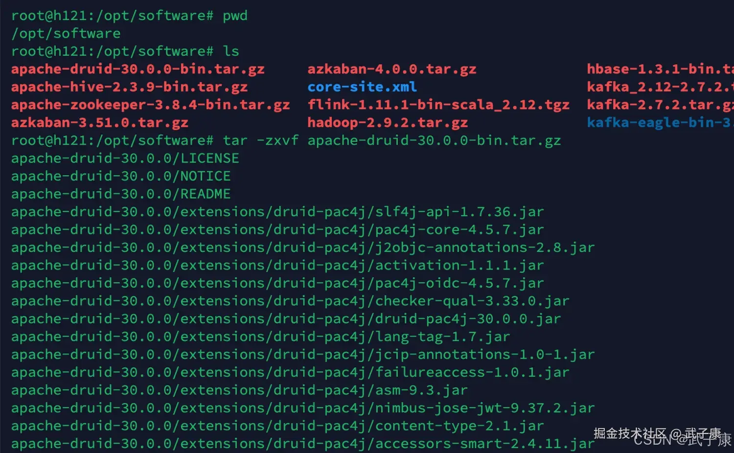Apache Druid 解压