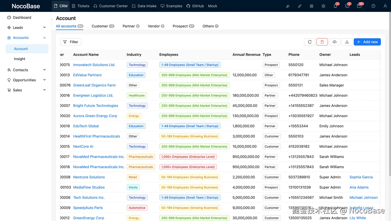 Account view includes multiple relationship fields