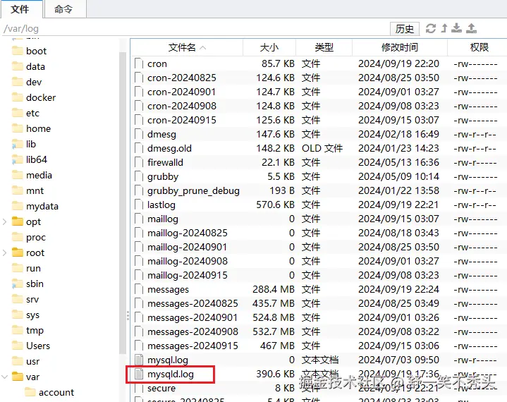 image-20240919222521427