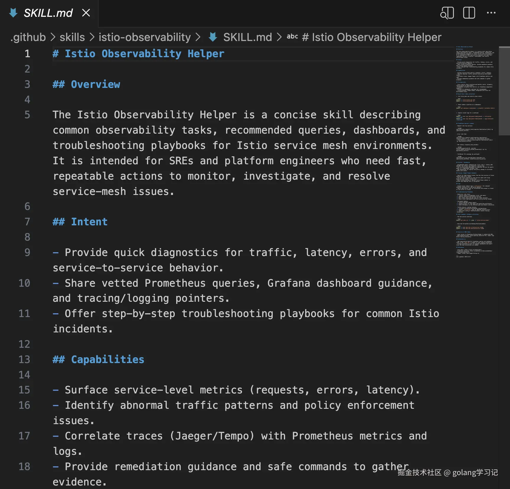 生成后的 SKILL.md