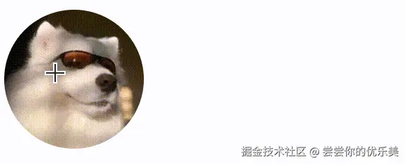 20241206155127.gif