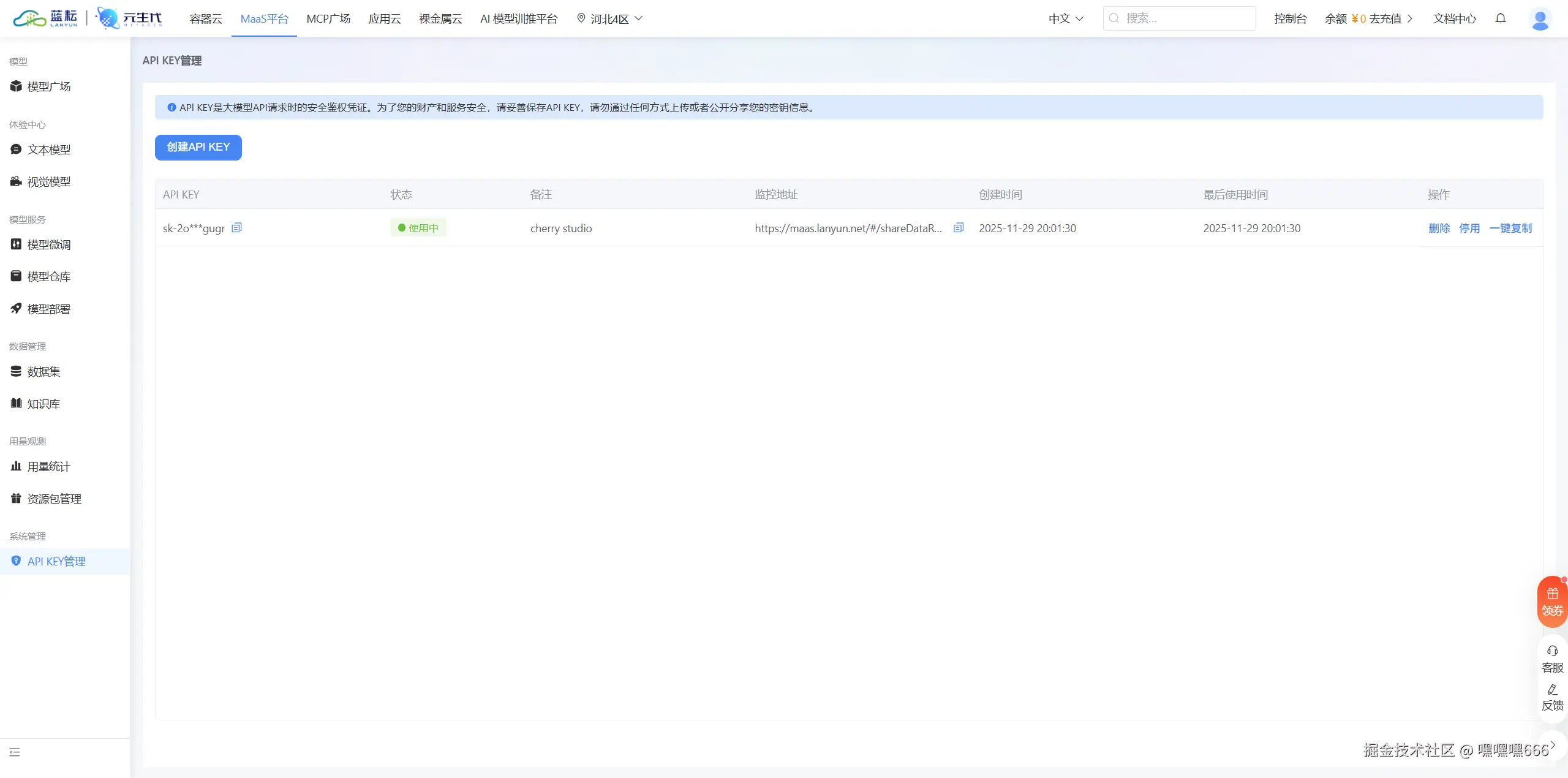 蓝耘官网API Key管理界面，展示复制密钥的操作