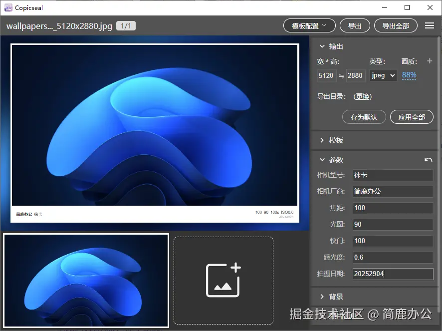输入水印文字参数