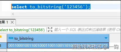 to_bitstring_vertica_out.png