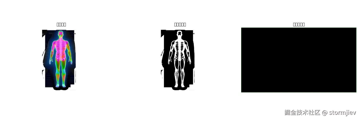 body__visualization.png
