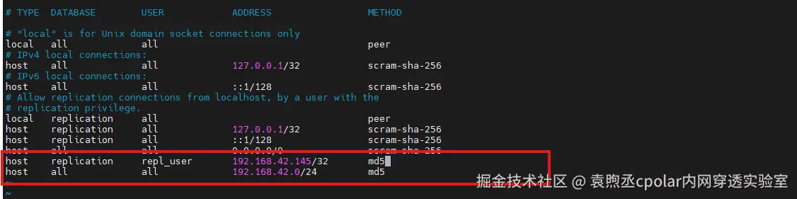 image-20260211160306965