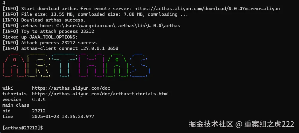 image-20250123133756127