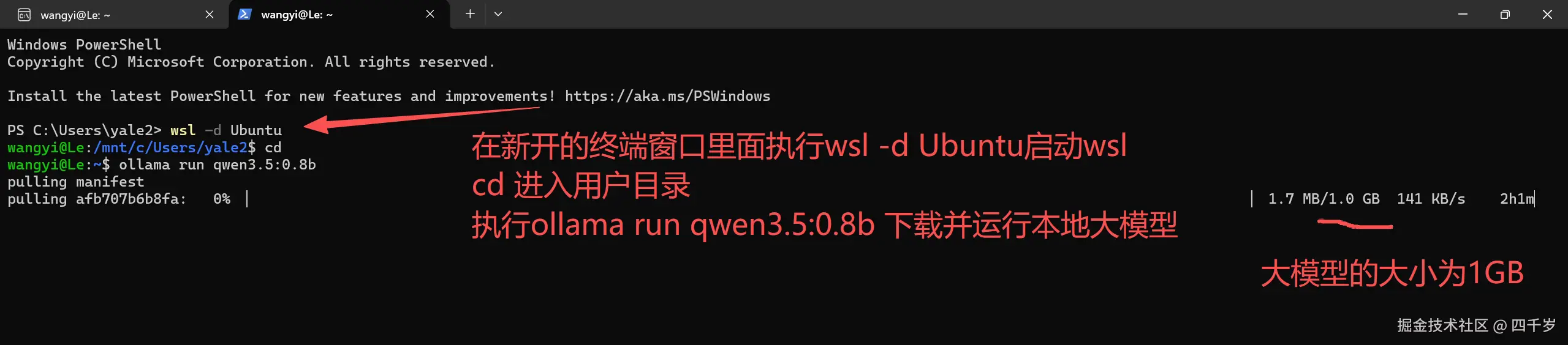 下载并运行大模型