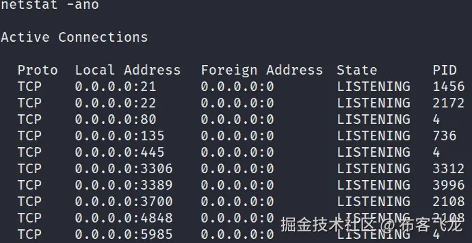 图 4.17 – Netstat 活动连接
