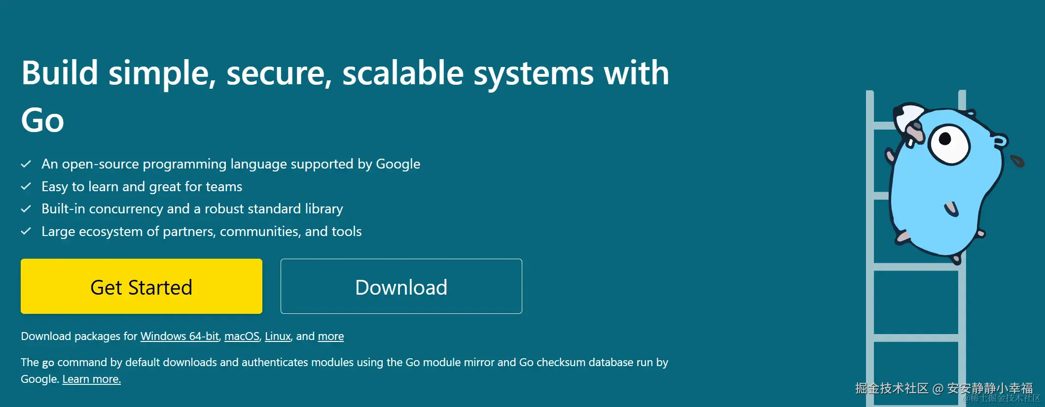 golang 官方网站.png