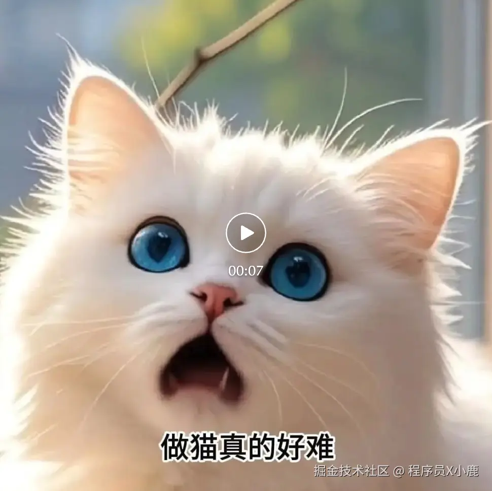 截屏2024-12-12 13.27.27.png