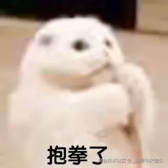 9AFCE0DA64202BD3AA6C2EDE0004BDED.jpg
