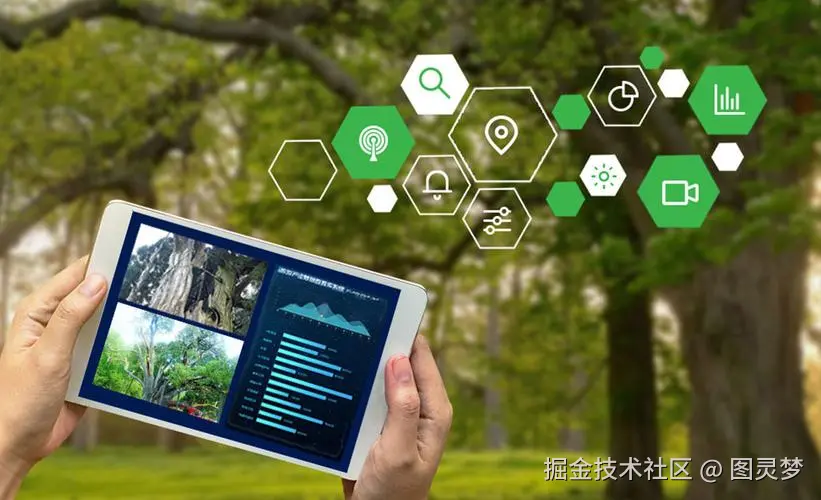 DeepSeek赋能智慧林业：森林资源监测，推动森林生态保护与生物多样性